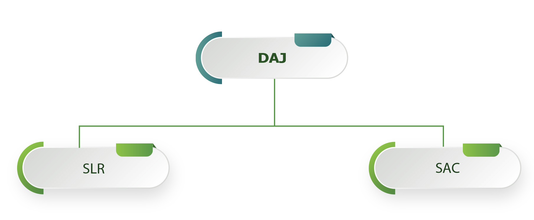 Formation Professionnelle