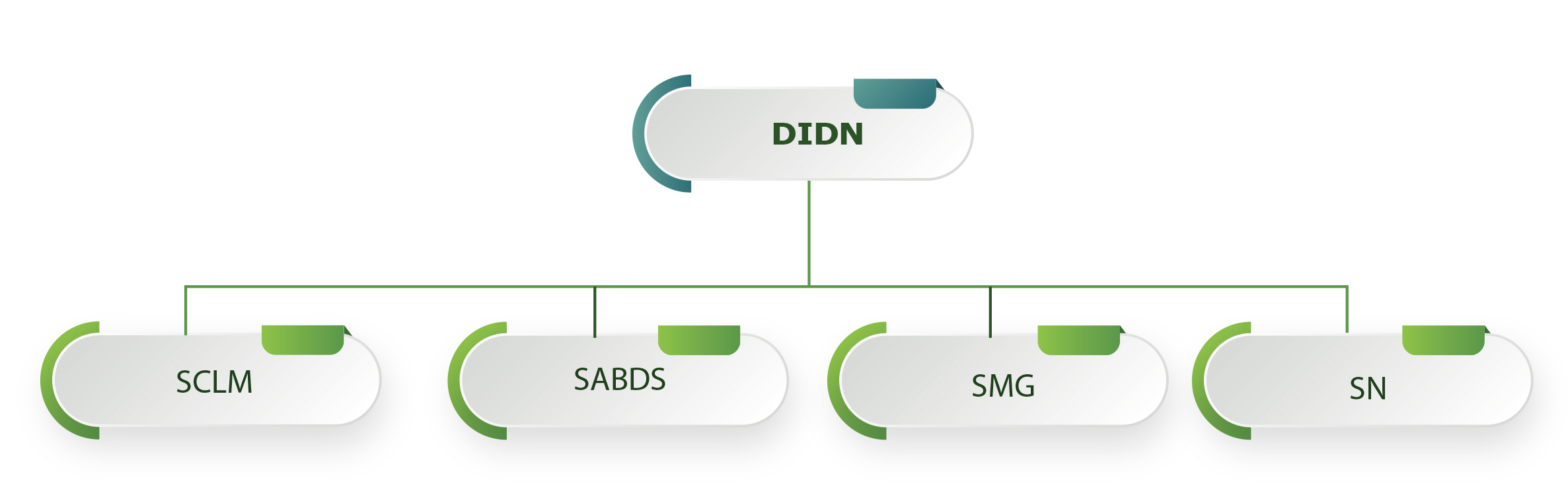 Formation Professionnelle