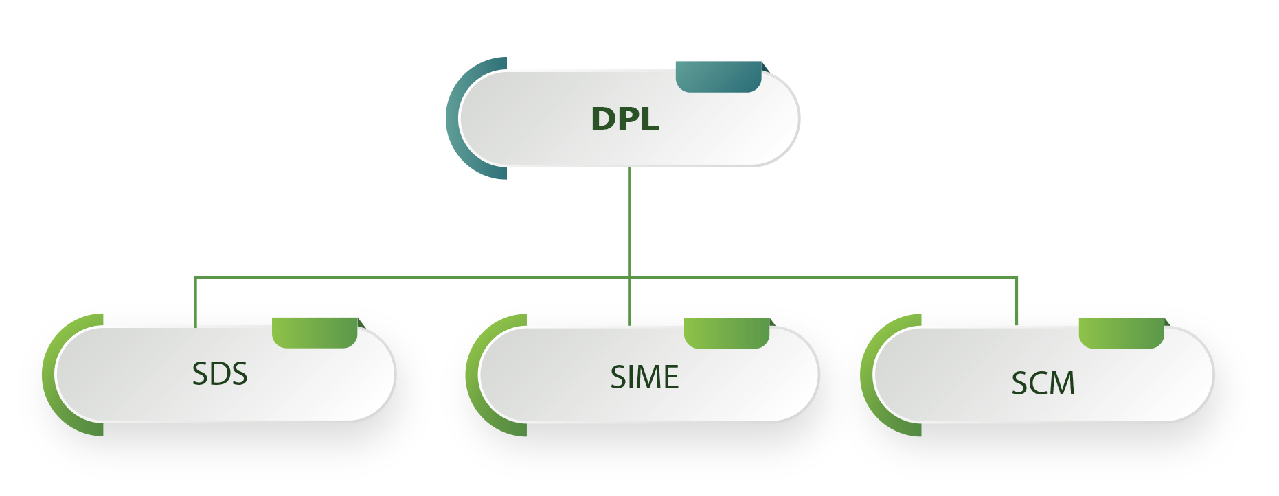 Formation Professionnelle