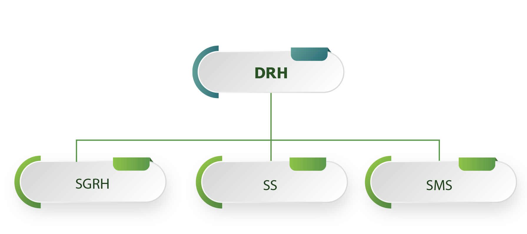 Formation Professionnelle